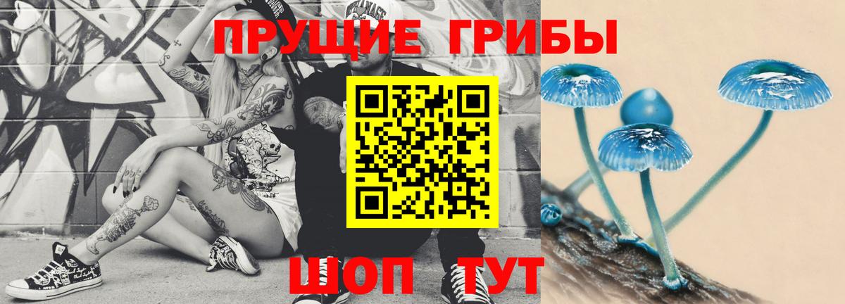 Галлюциногенные грибы MAGIC MUSHROOMS  Вход с VPN  Новочеркасск 